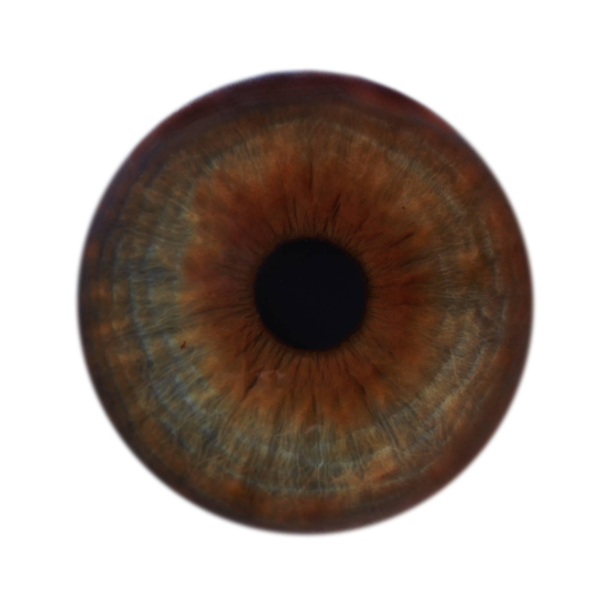 IRIS II  - einzigartige Abstraktion der Farben in rundem Glasrahmen (45 Zoll Durchmesser)