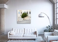 Topiary I (framed) - large format photograph of ornamental shaped urban tree