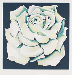 White Rose, (Floral, Ed. 32 of 200) Signed