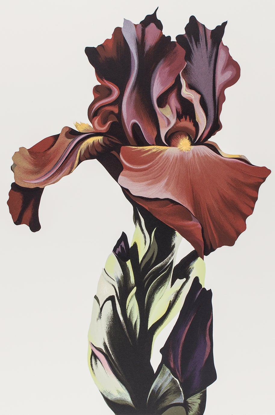 Lowell Nesbitt Still-Life Print - Burgundy Iris, (Floral, Ed. 197/200) Signed