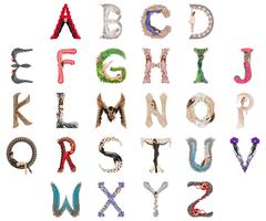ALPHABET featuring Erika Lemay 5