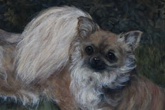 Ritratto di due chihuahua a pelo lungo, dipinto a olio su tela del 1994