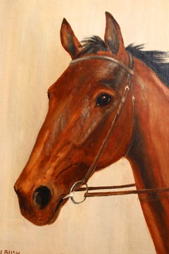 20th Century British School Equestrian Portrait of a Thoroughbred Horse