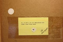 Fleur du désert:: Mexique