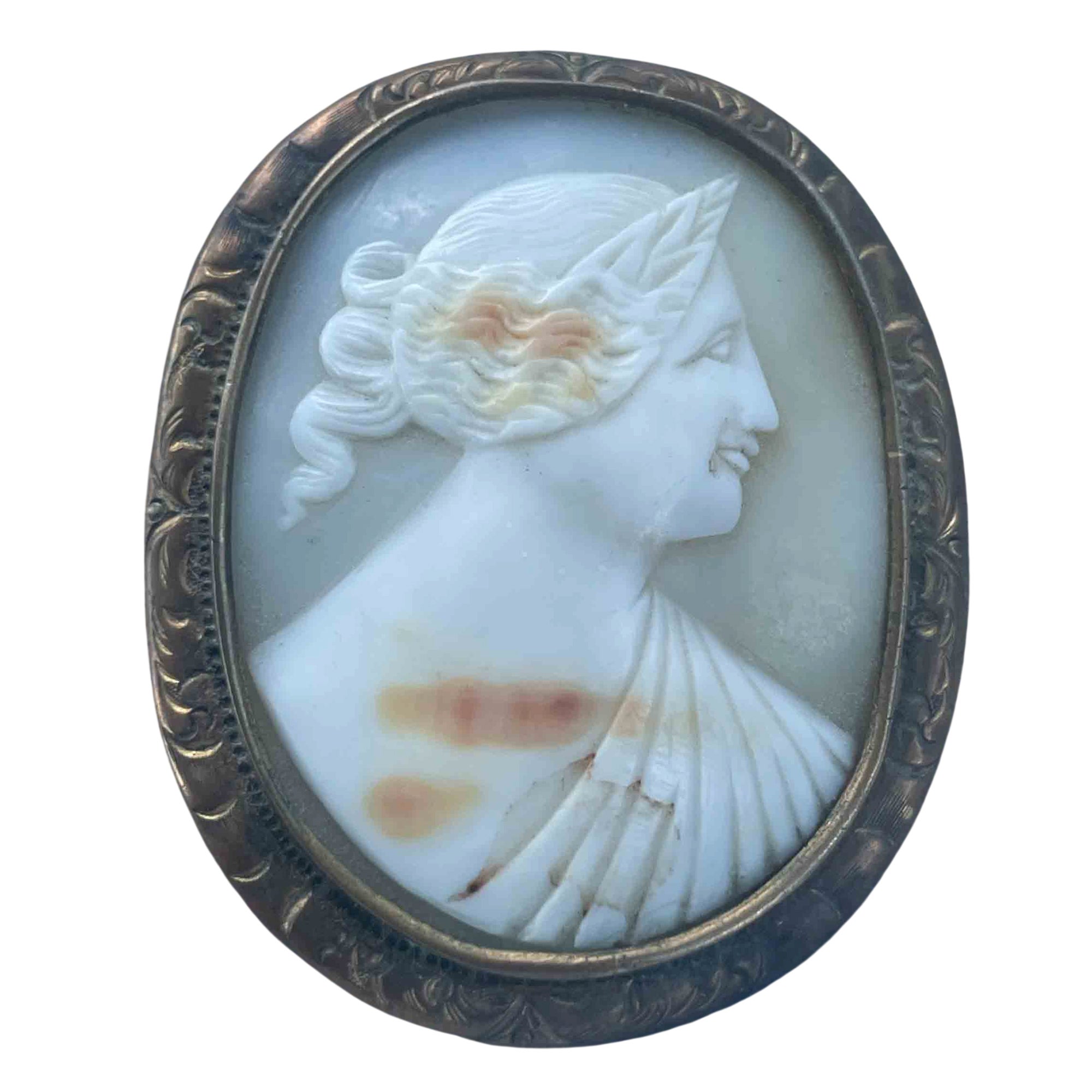 Unknown - Shell Cameo with a Female Profile, Chased Metal Setting, 19th ...