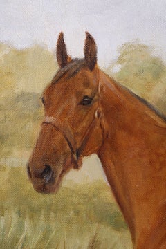 A Horse in a Field. An antique oil painting on canvas by F. M. Hollams