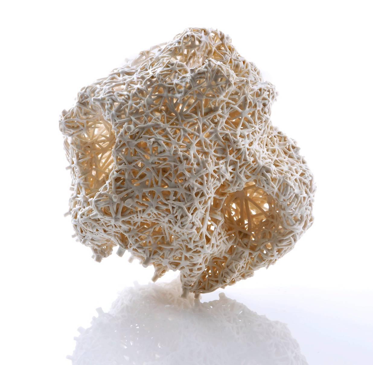 CORAL AMORPHOUS - Sculpture by Nuala O
Donovan