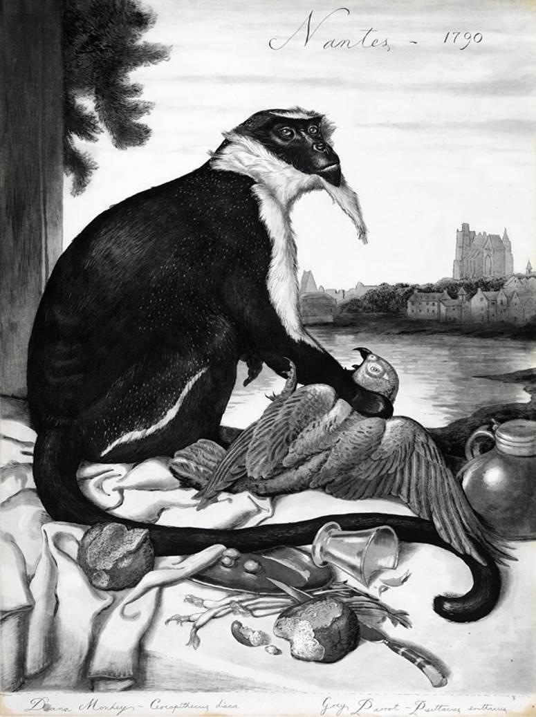 Nantes - Print by Walton Ford