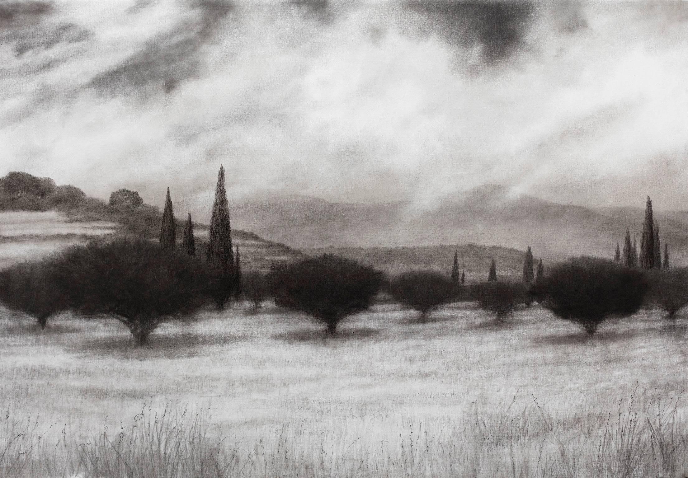 Landscape Painting George Tzannes - Cendrier d'olivier avec cyprès - dessin au fusain, Grèce, Island Black & White