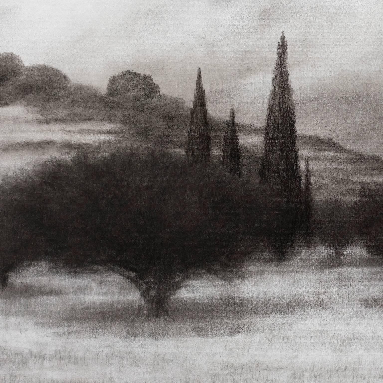 Olive Grove with Cypress Trees - Charcoal Drawing, Greece, Island Black & White - Painting by George Tzannes