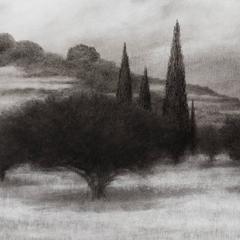Oliveto con cipressi - Disegno a carboncino, Grecia, Isola in bianco e nero