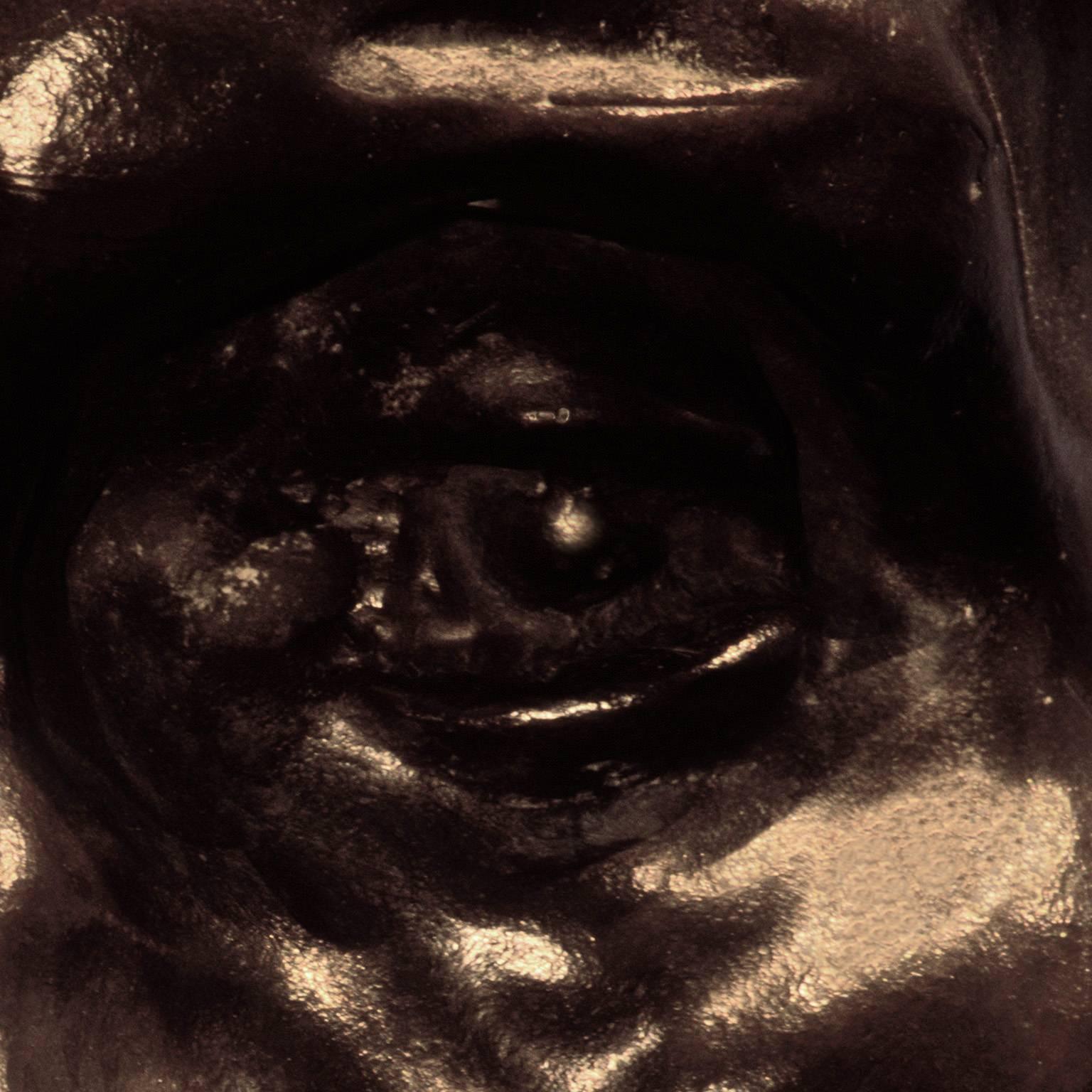 F003, French, Bronze - Close-Up Photograph of a Bronze Sculpture by Rodin - Black Portrait Photograph by Pierre Sernet