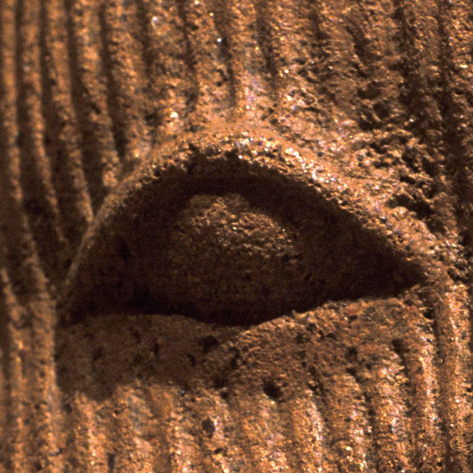 F019, Nigerian, Terracotta - Photograph of African Terracotta Figure Face - Brown Portrait Photograph by Pierre Sernet