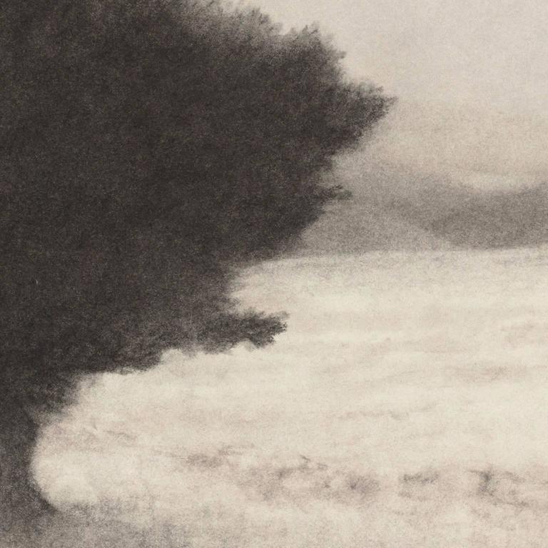 Landscape with Olive Tree - Black and White Landscape of Greek Island  - Art by George Tzannes