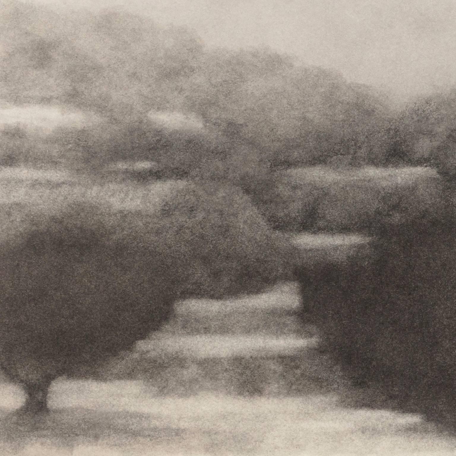 Paisaje con olivo - Paisaje en blanco y negro de la isla griega - Art Realista de George Tzannes