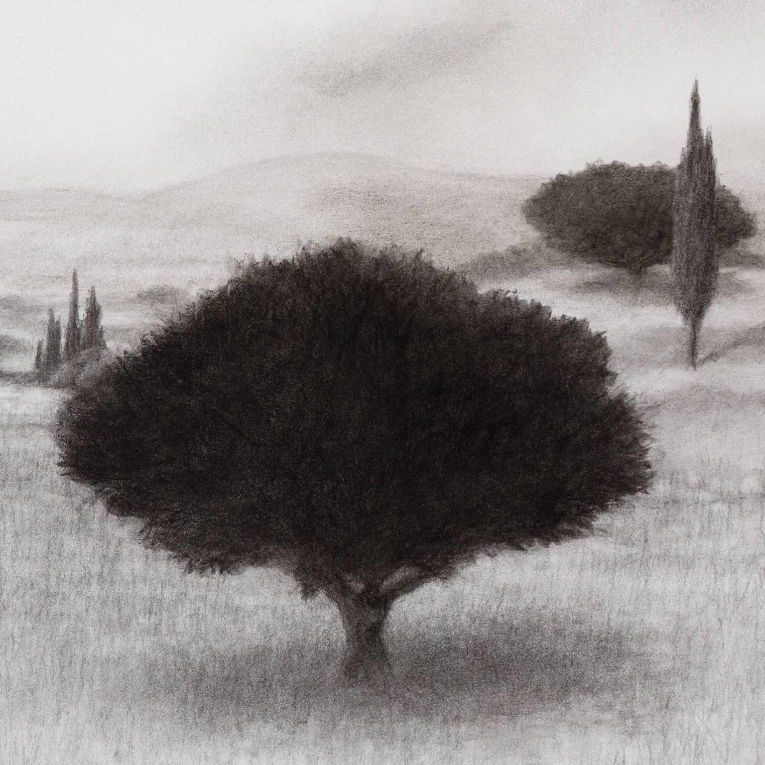 Olive Grove with Hills in the Distance - Charcoal Drawing, Greek Island, Country - Art by George Tzannes