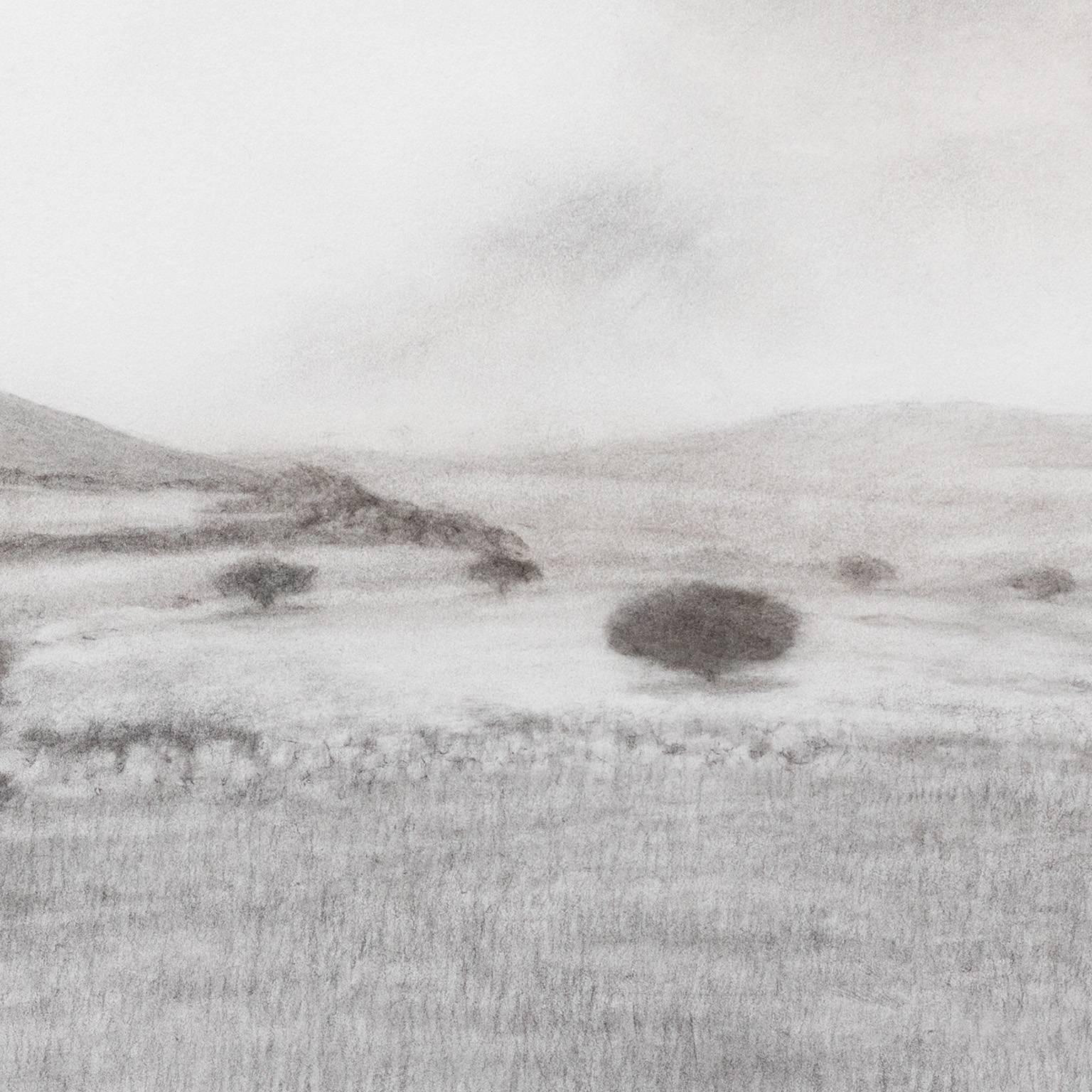Olive Grove with Hills in the Distance - Charcoal Drawing, Greek Island, Country - Realist Art by George Tzannes