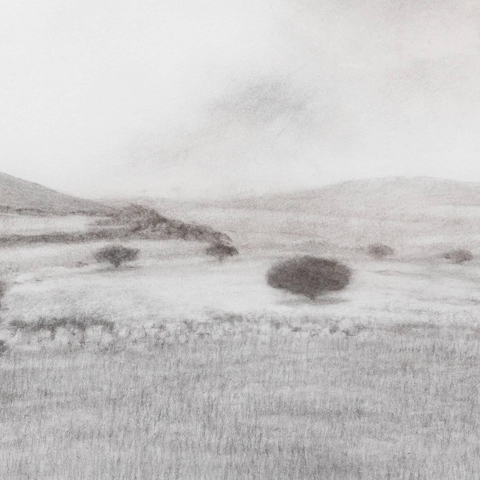 Diese 17,5 x 35 Zoll große schwarz-weiße Kreidezeichnung auf Papier stellt eine griechische Landschaft dar. Im Vordergrund sind zwei Olivenbäume zu sehen, dahinter erstreckt sich die Landschaft am fernen Horizont. Tzannes ist ein amerikanischer