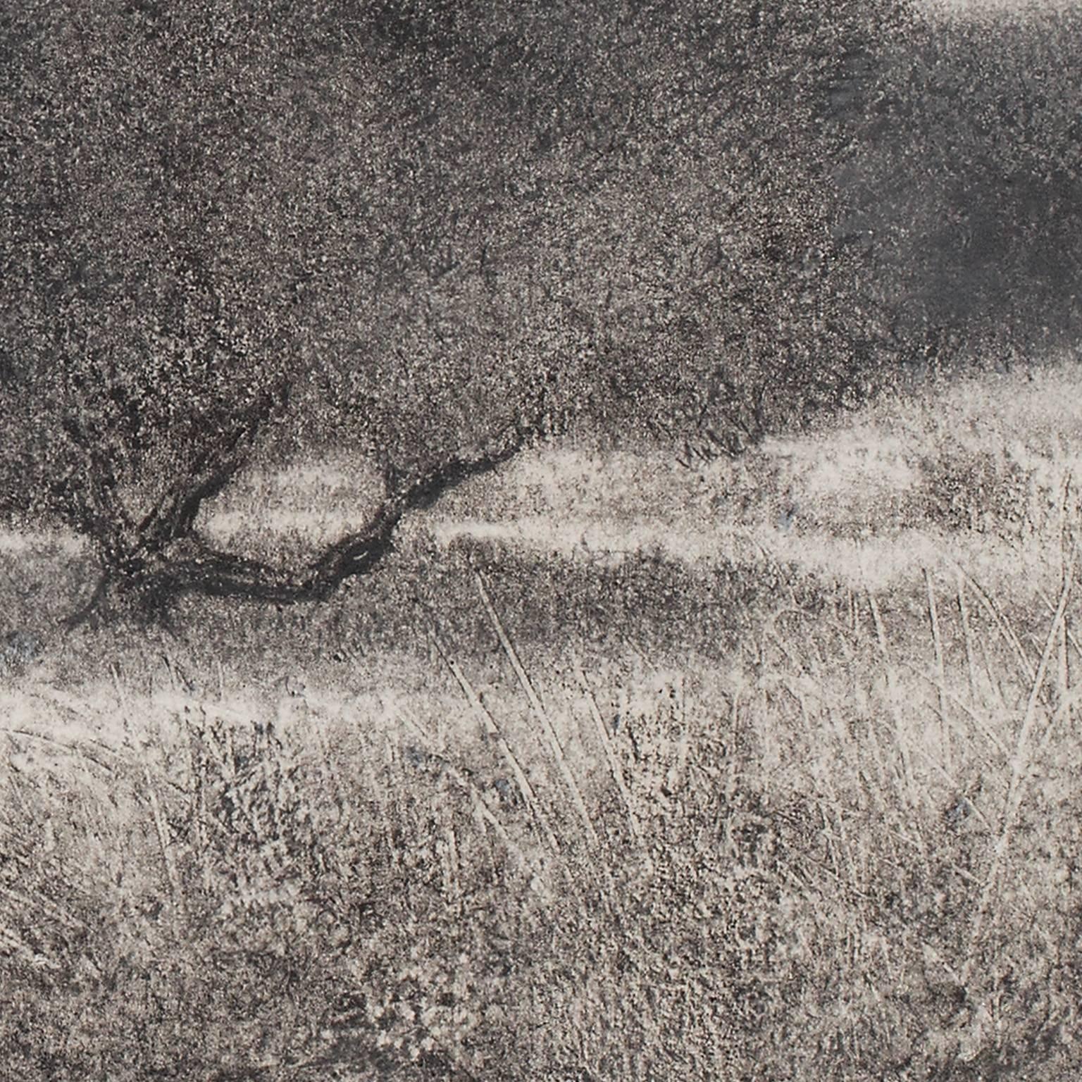 Olive Grove (olivier) - Beige Landscape Art par George Tzannes