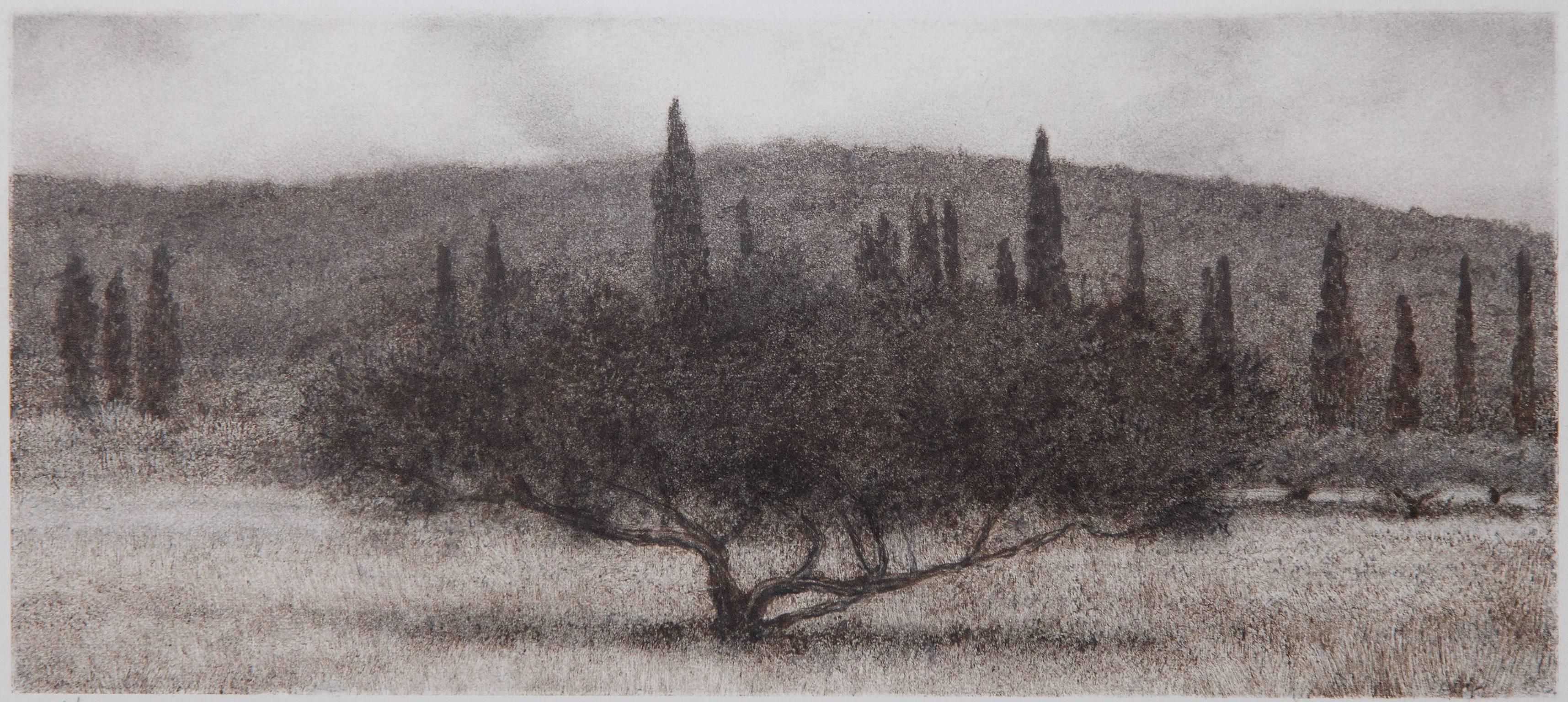 George Tzannes Landscape Art - Olive Tree With Cypress