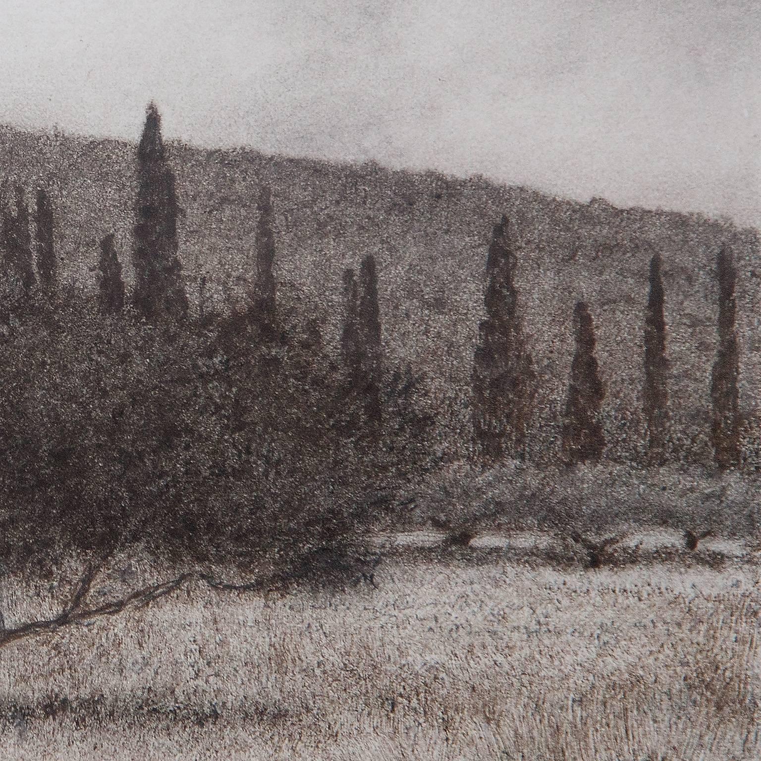 Olive Tree With Cypress - Art by George Tzannes