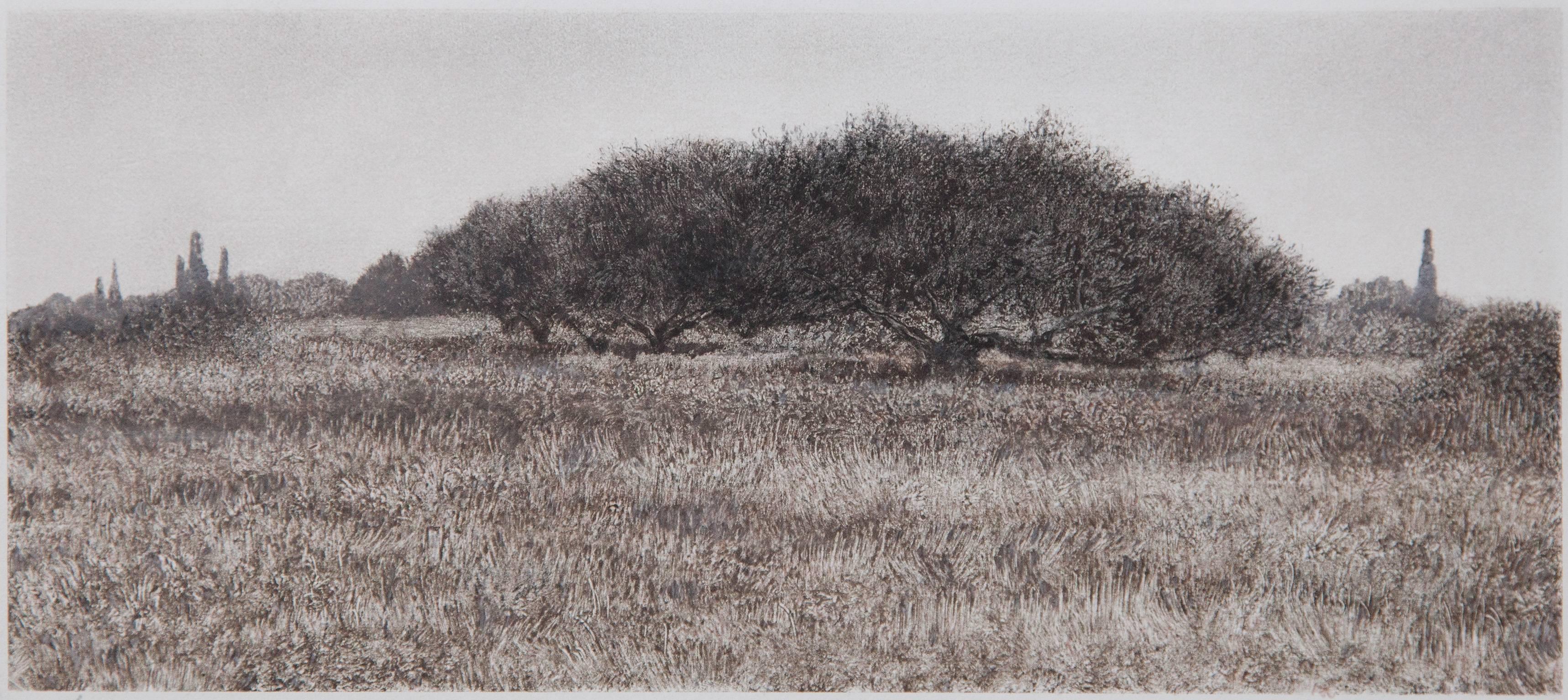 George Tzannes Landscape Art - Olive Trees in Field - Black and White Monotype with Greek Landscape