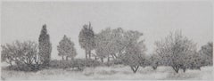 Trees in the Mist - Black and White Greek Landscape with Cypress and Olive Trees