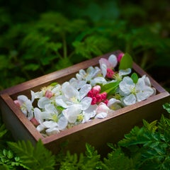 Pommier sauvage, tirage pigmentaire d'archive, n° 1/5, 30 x 30 cm, photographie florale