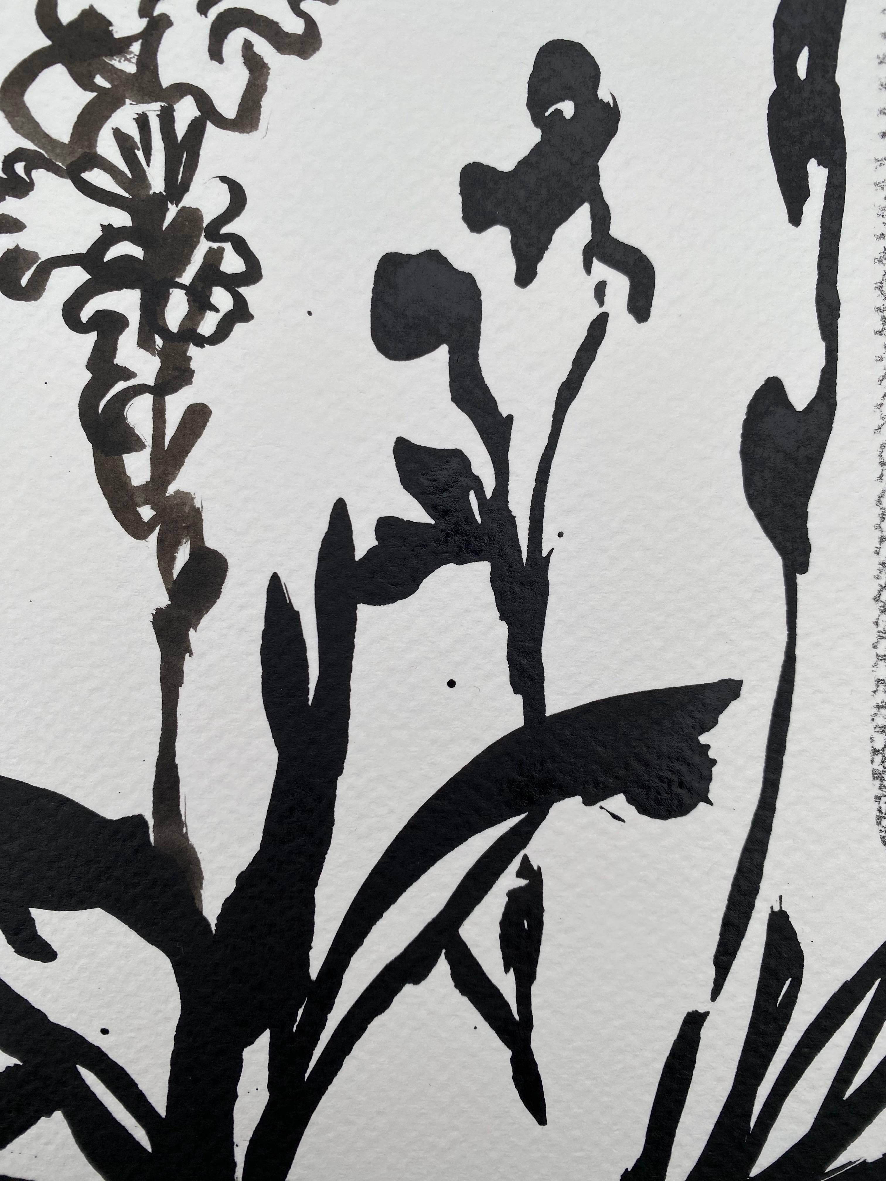 Die Summer Bloom Series ist ein fortlaufendes Projekt, zu dem Shizico Yi jeden Sommer zurückkehrt und in ihrem Garten en plein air malt. Sie begann 2015 mit der Gartenarbeit, um einen heilenden Raum für ihren älteren, kranken Hund zu schaffen. Nach