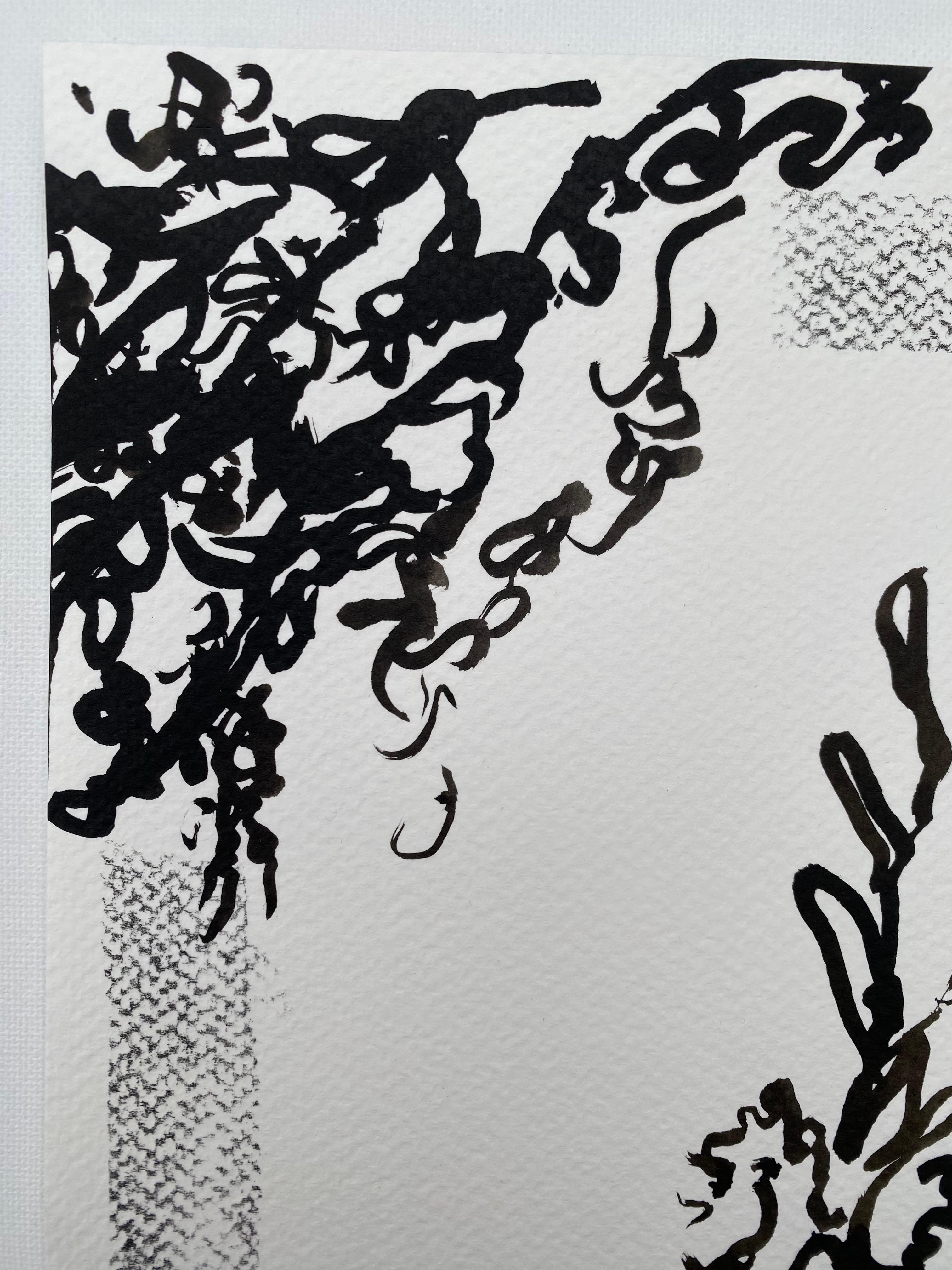 Original-Drawing Time Series-Gladiolus PleinAir-Brit, ausgezeichnete Künstlerin-Tinte auf Papier im Angebot 2
