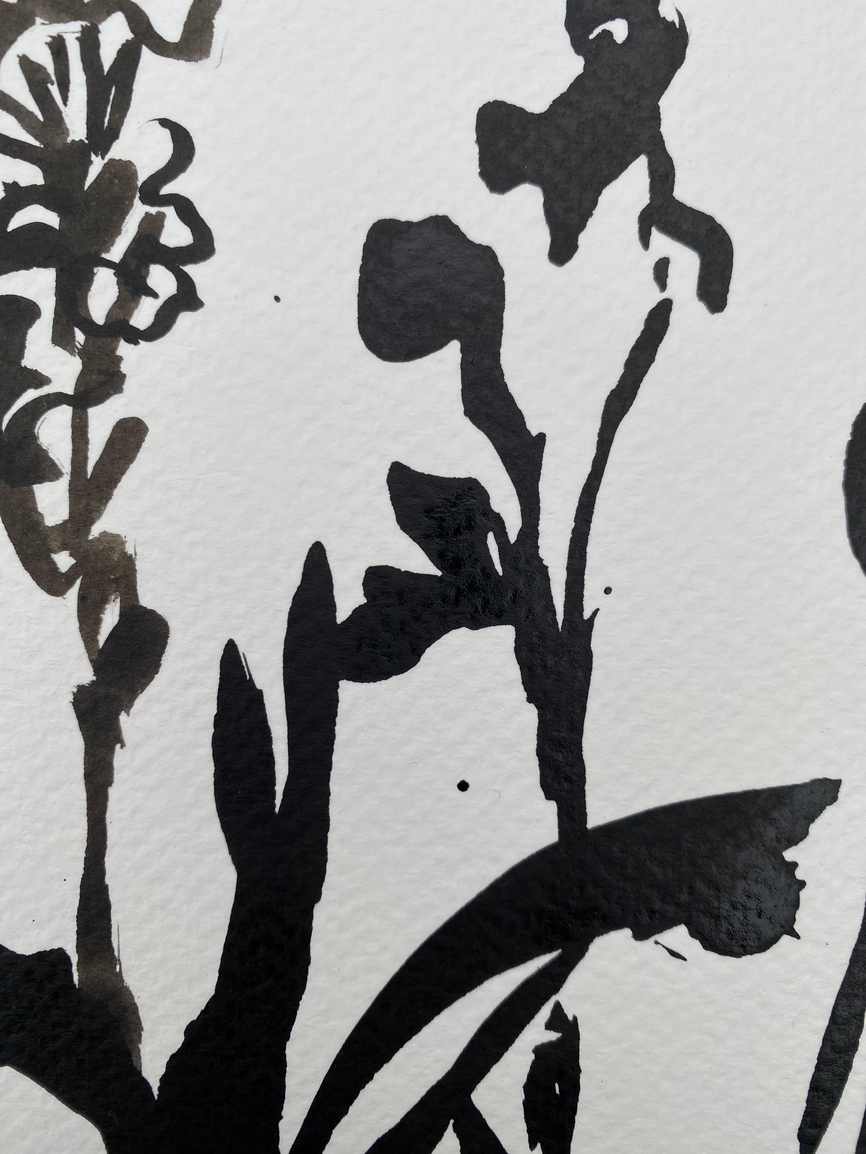 Original-Drawing Time Series-Gladiolus PleinAir-Brit, ausgezeichnete Künstlerin-Tinte auf Papier im Angebot 10