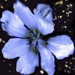 Flower Ghosts 2 - 3 9