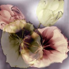 Flower Ghosts 3 - 2 11