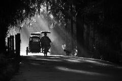 On the Road 12