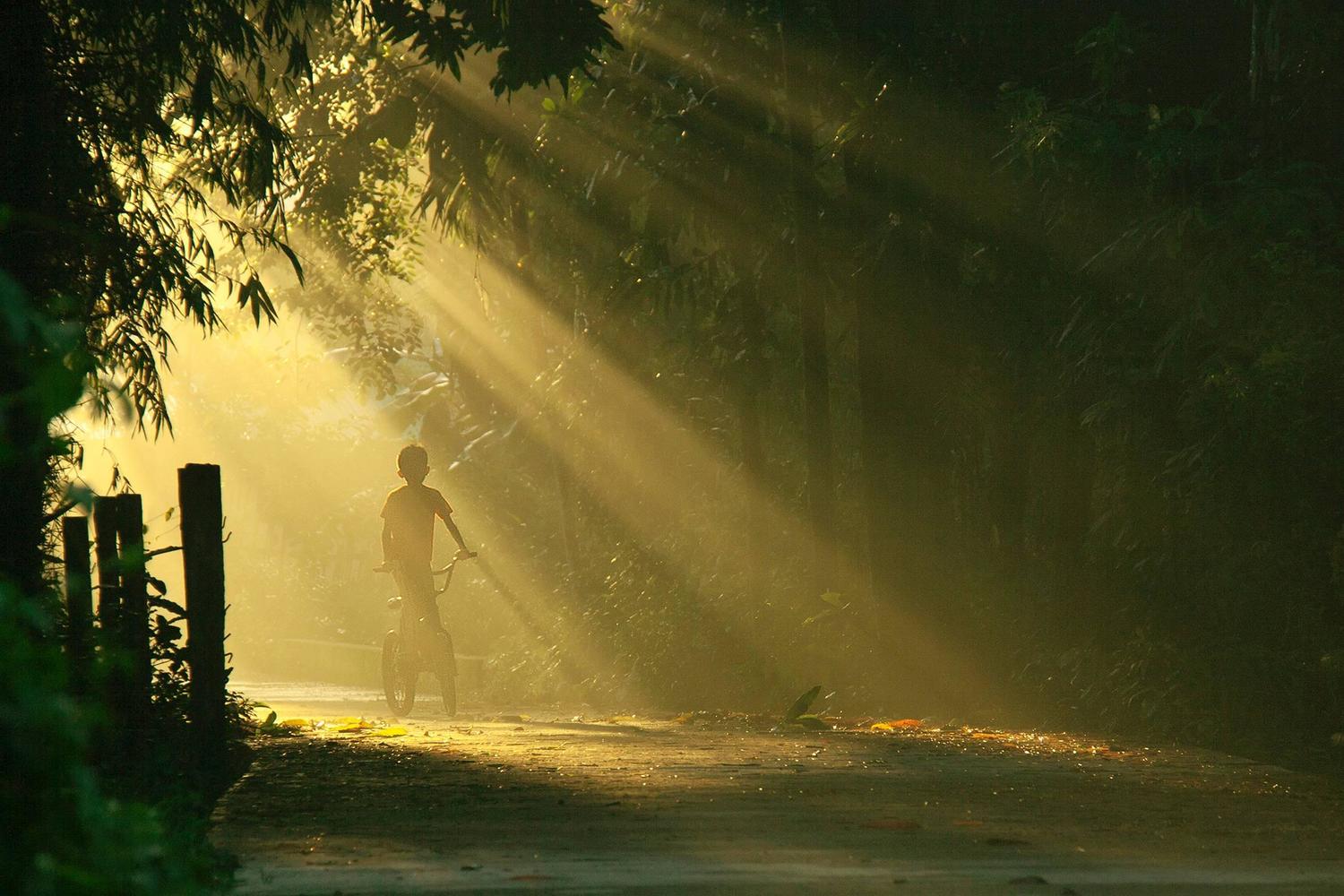 Joe Malicdem - Ray of Light For Sale at 1stdibs