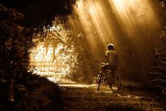 The Messenger 11