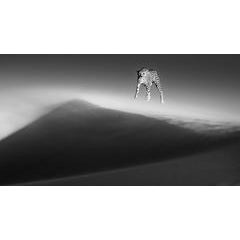 Etheral Dune 11