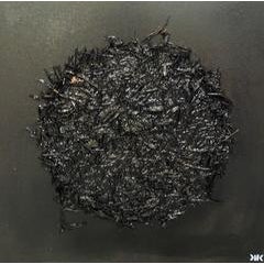 Nest Collection Earth 3