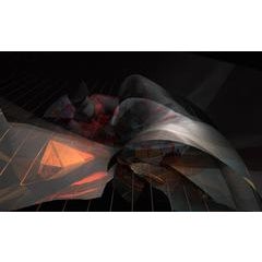The Implications of Uncertainty 9