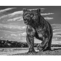 THE FISHER KING 12