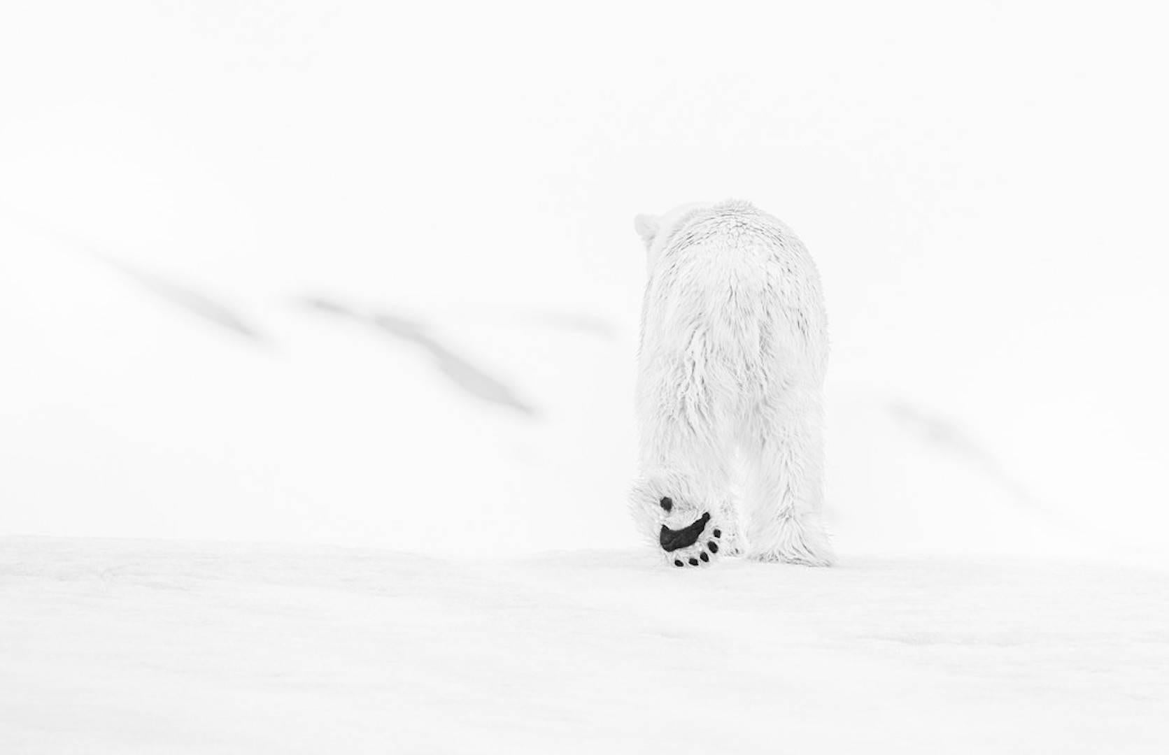 David Yarrow Black and White Photograph - 78 Degrees North