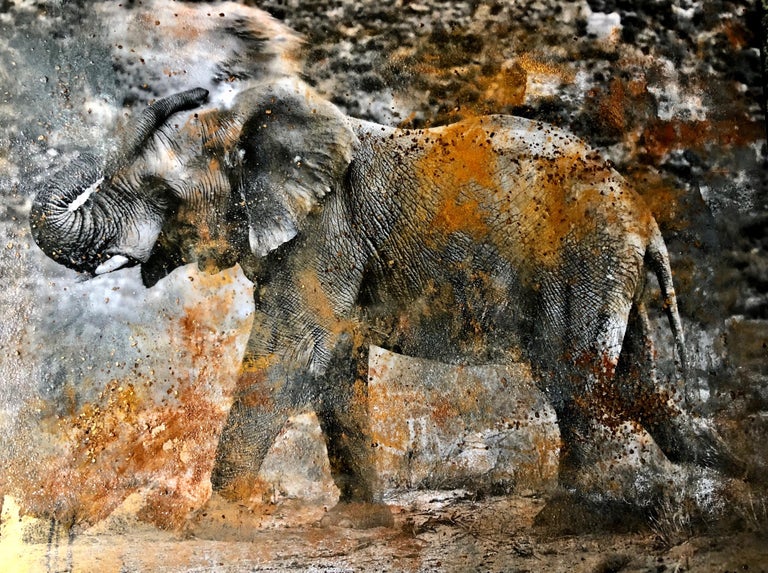 Maryam Ego-Aguirre Black and White Photograph - South African Elephant Dusting