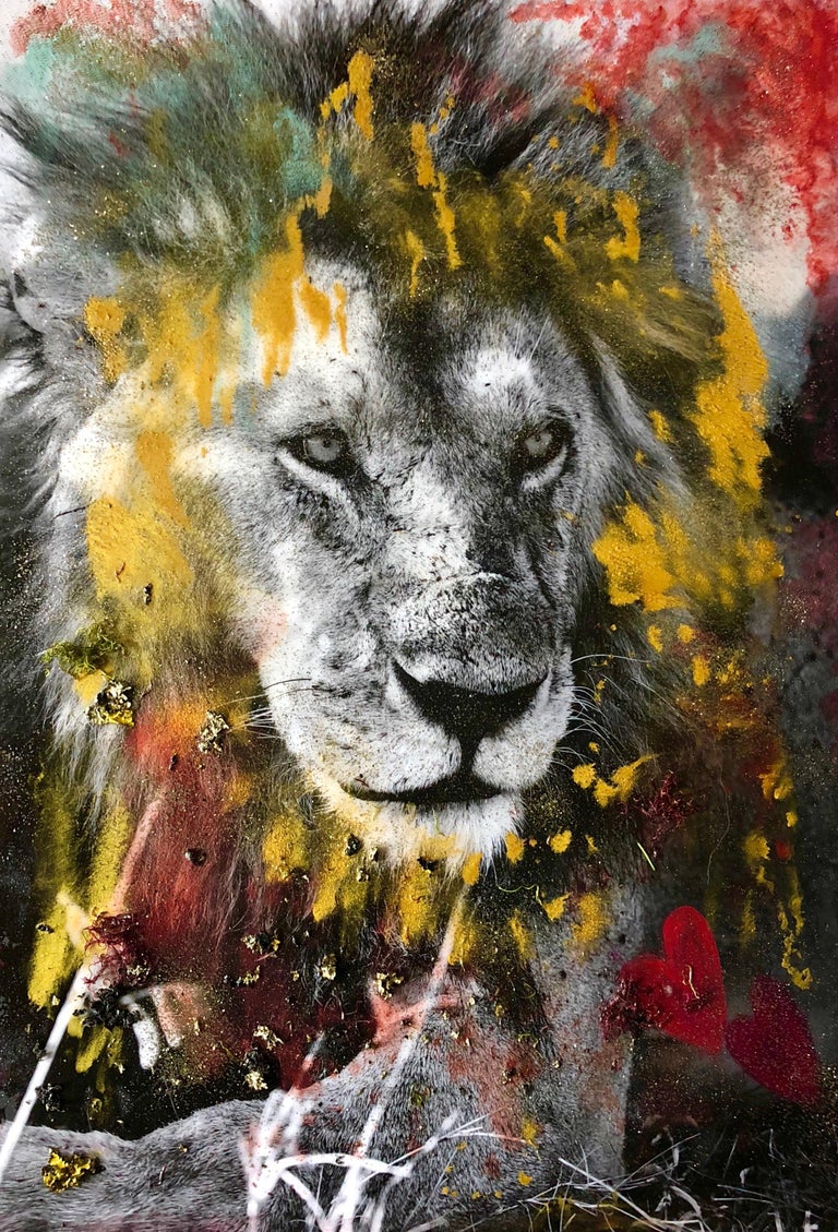 Maryam Ego-Aguirre Black and White Photograph - Lion Heart