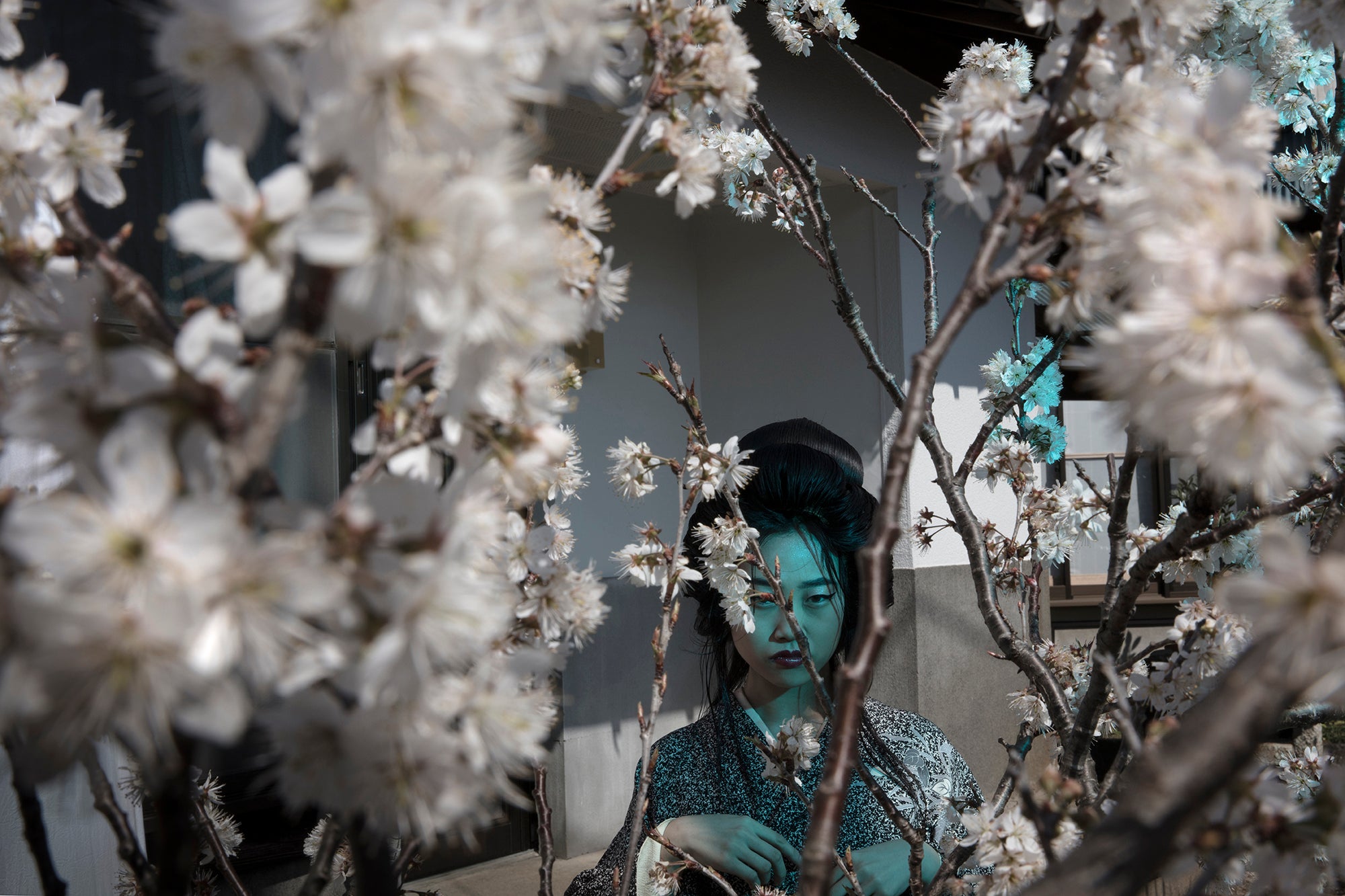 Formento & Formento - Lisa 3, Photographie 2019, Tirée d'après
