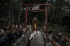Formento & Formento - Remy VII, Miyagi, Japan, Photography 2016, Printed after