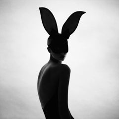 Tyler Shields - La sagoma del coniglietto, fotografia, stampa successiva