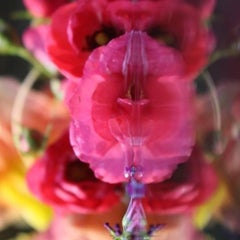 Submerged Garden 9908 (cropped)