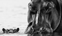 Archival Ink Black and White Photography