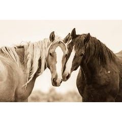 Soul Mates 7