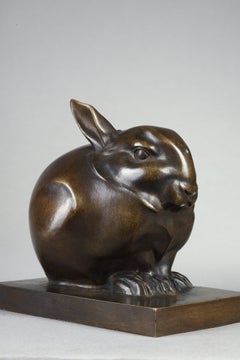 Rabbit in a ball